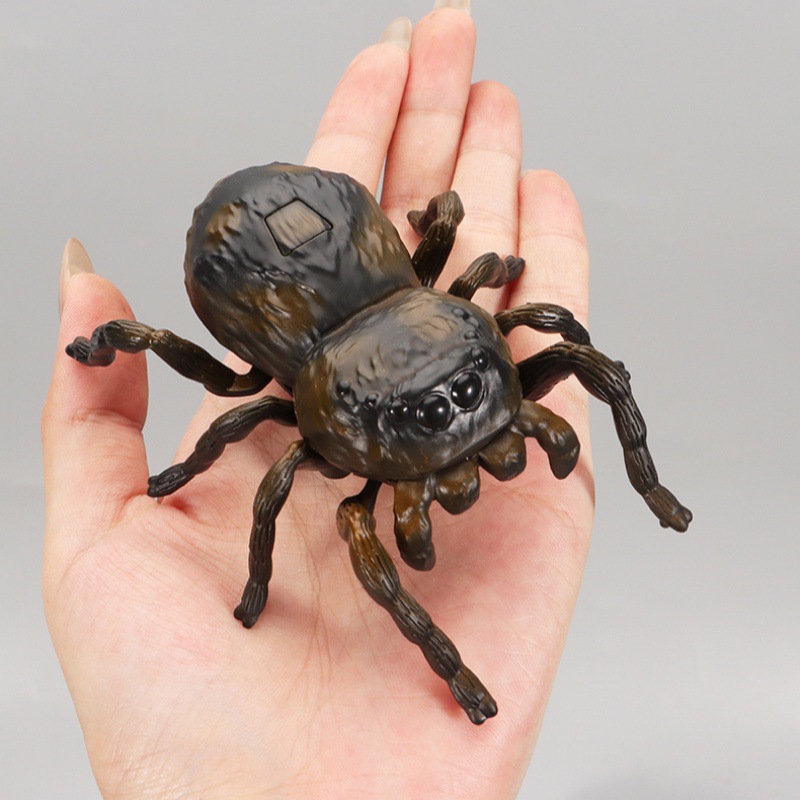 Cross-Border Simulation Spider Wind-Up Children's Toys Creative Crawling Moving Beetle Insect Model Wholesale