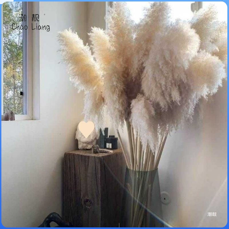 Плетёные деревья Reed Dabu Сухие цветы Лучи Дикий цветок Свадебная фотосъемка Поле Окна Декор Производитель оптом