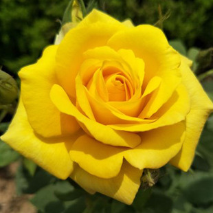 ���羳��؛���̨��Ʒ�N�¼������S��ƽ����õ�����Ի��@�ļ��_