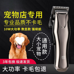 ���I������ë��������Ƽ���ë����Ȯ��������ӌ������؈��