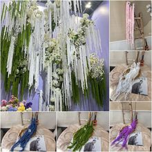 ����ë�����������z��Y����b���̨ܛ�b���滨��֦�Ҿ��b��õ��