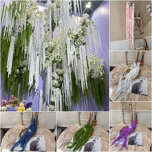 ����ë�����׿羳��Y���û��������z�b��滨�Ҿ��b��