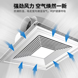 120�ߴ��ʓQ����300x300���ɵ�픏N���l���g����o�����L�ȿ羳