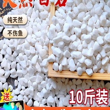 Ȼ~׵ɰb쾰ɳʯ^䁵ȫה[Bװʯҹʯ