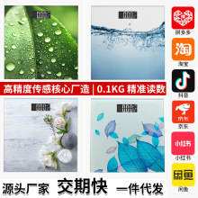 新款创意树叶体重秤精准高精度家用智能款称重电子秤跨境一个起批