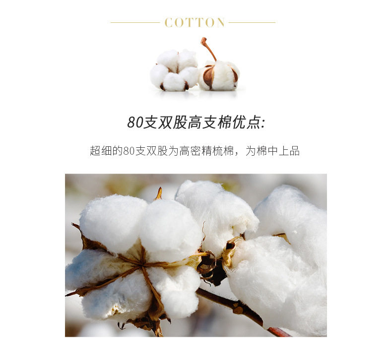 Áo sơ mi nữ công sở dài tay dáng ôm, vải cotton pha chải kỹ, cổ chữ V hoặc cổ vuông — Trắng - Cổ chữ V - Tay dài, Trắng - Cổ chữ V - Tay ngắn, Trắng - Cổ vuông - Dài tay, Trắng - Cổ vuông - Tay ngắn chi tiết 7