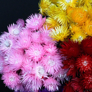 �M����ʯ���ɻ���ѩɏ���b���DIY�����u�����ƺÿ��Ļ���c