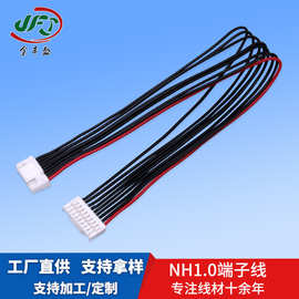 金丰盛直供1.0mm间距线束 液晶屏插板线 NH1.0带扣端子连接线2PIN