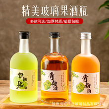 供应蒙砂透明玻璃酒瓶梅见果酒瓶青梅杨梅酒瓶自酿果酒瓶分装瓶