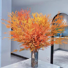 ��ϻ���ֱ�lǧ�ӽ��S�������k���ҿ͏d�廨�r��ˮ��ɻ����]