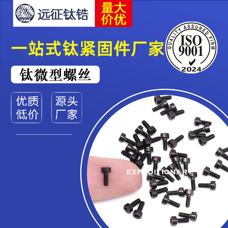 厂家直销 钛微型小螺丝 M1.4 钛内六角螺丝 眼镜手机用钛细小螺丝