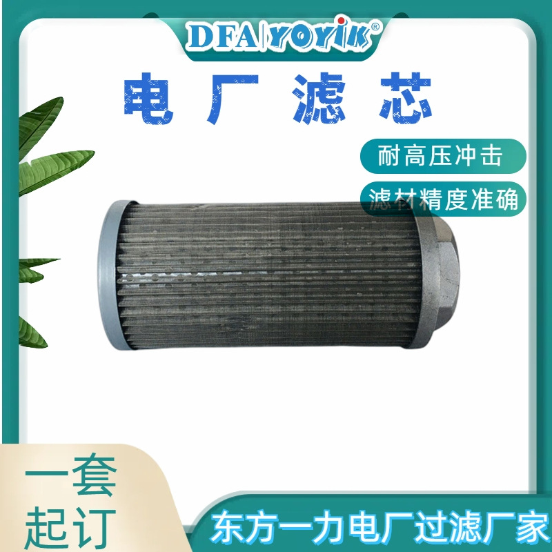 水过滤器滤芯DSG-125/08新能源发电项目物资东方一力厂家