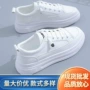 内增高厚底爆款秋季小白鞋