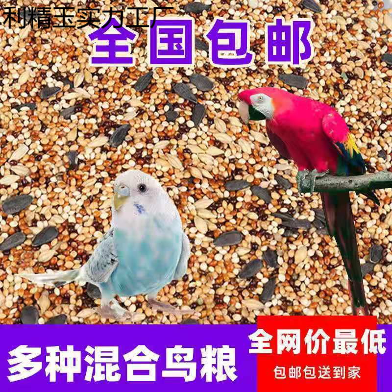 混合鳥の餌 鳥の餌 オウムの餌 タイガーピーチ 黒鳳凰 牡丹 五色雑穀 食品雑穀 250g シェル付き|undefined