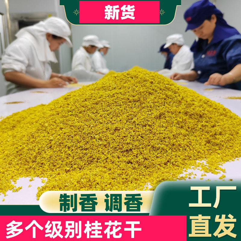 New Dried Osmanthus, Golden Osmanthus Tea, Dried Osmanthus for Tea Making, Commercial Industrial Fragrance, Strong Fragrance Type, Bulk Osmanthus Spice Raw Material