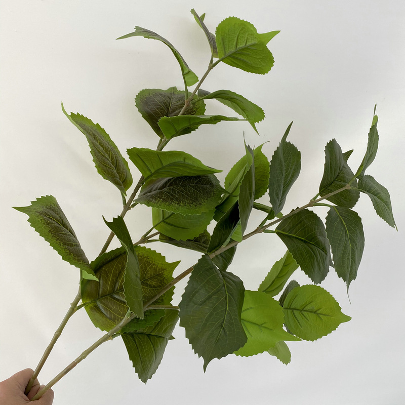 Single Hydrangea Leaf Money Bag Leaf Jackfruit No.2 Leaf Home Decoration Simulation Plant Green Plant Flower Arrange Green Leaf Matching Material