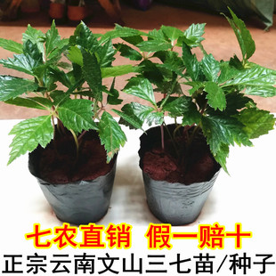 �����ɽ���߻����������߷Nֲ�����������߷N�Ӽt��ș�Ŀ�����