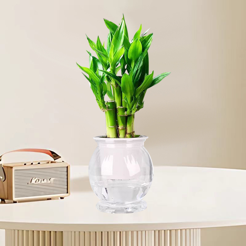 16650139-57c2-479b-a623-b7c4bb33e243.jpe