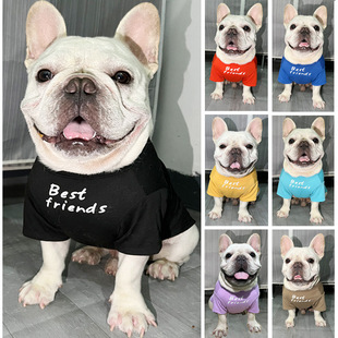 �S�����l�ֹ������˸�Ӣ��ɳƤ��ţȮ�����·������A�IT�������b