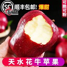 �Fժ��ţ�O����ˮ�^�����r������������߹�����t��ʿ�O�����l