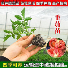 �m������t���緬�����}Ů�����������߲�������������������ˮ��