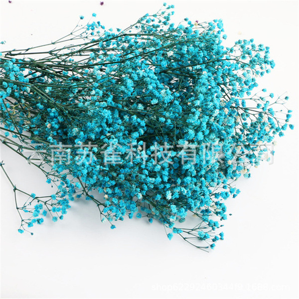 Wholesale Yunnan Ganhua Eternal Flower Flowers Di Flower DIY Bouquet…