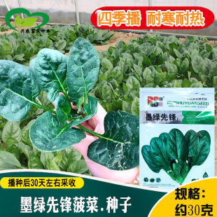 ī�G���h���˷N�� �r��ˈ@�s���������~��G�ʺ񲤲��߲���