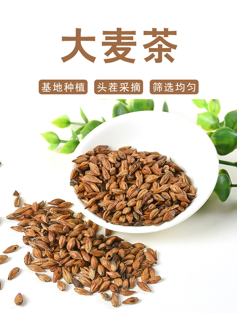 Roasted Barley Tea (Hordeum vulgare) — Bulk Loose Grain Herbal Tea, 500g overview