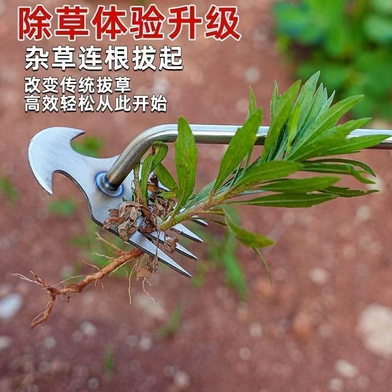 微信图片_20260630152936_148_2.jpg