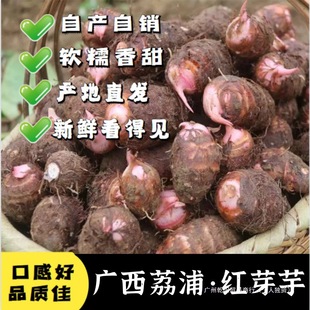 ����Ŵ�㡿�V�����ּtѿ�����rС����ܵë�����r��ţ����С���^��