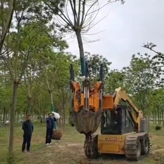 苗圃移栽挖树机全自动移苗机挖掘抱树机园林起树机带土球挖树机