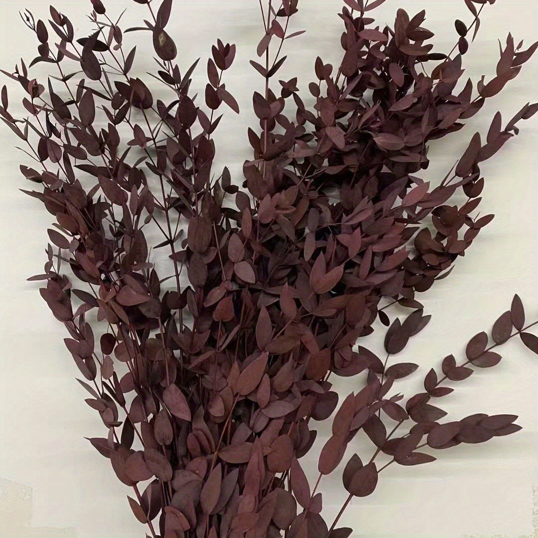 빨간색 100g (약 60cm)