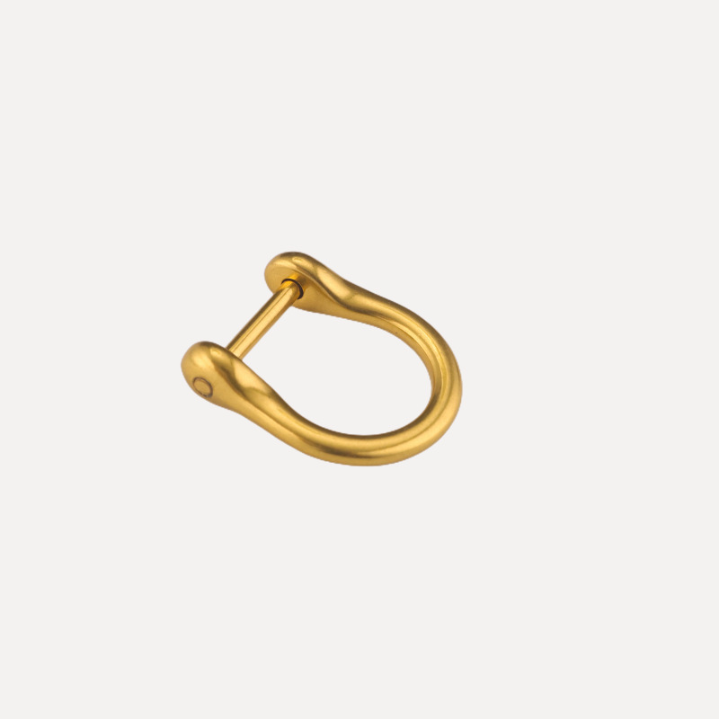 Hebilla de herradura hebilla de metal tornillo D Hebilla desmontable D anillo hebilla de herradura hebilla de las mujeres accesorios de reparación hebilla en stock al por mayor image 12