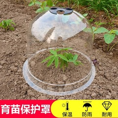 プラスチックPVC透明育苗カバー温室園芸野菜栽培保温育苗カバー育苗カバーメーカー供給