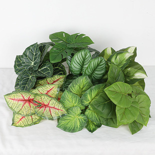 ������~��Gֲֲ��쾰�S������O���~�����~�b����~ֲ��