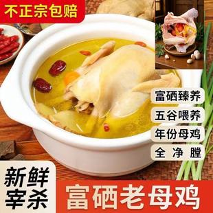 ������ĸ�u�ߵ��u������ĸ�u�S�ͻ��u���Ҝ�600����ĸ�u���l���l