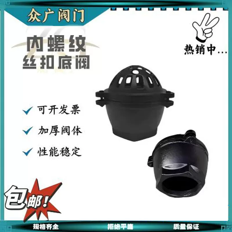 内螺纹丝扣吸水阀 抽水泵底阀 铸铁止回阀 DN25 40 50 65 80 100