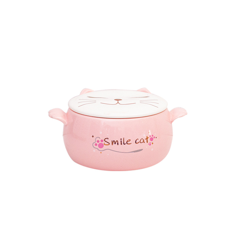 Estilo japonés gato simple tazón de fideos instantáneos vajilla tazón de arroz con tapa cuchara lindo tazón de sopa binaural de cerámica Esmalte de color para niños tazón