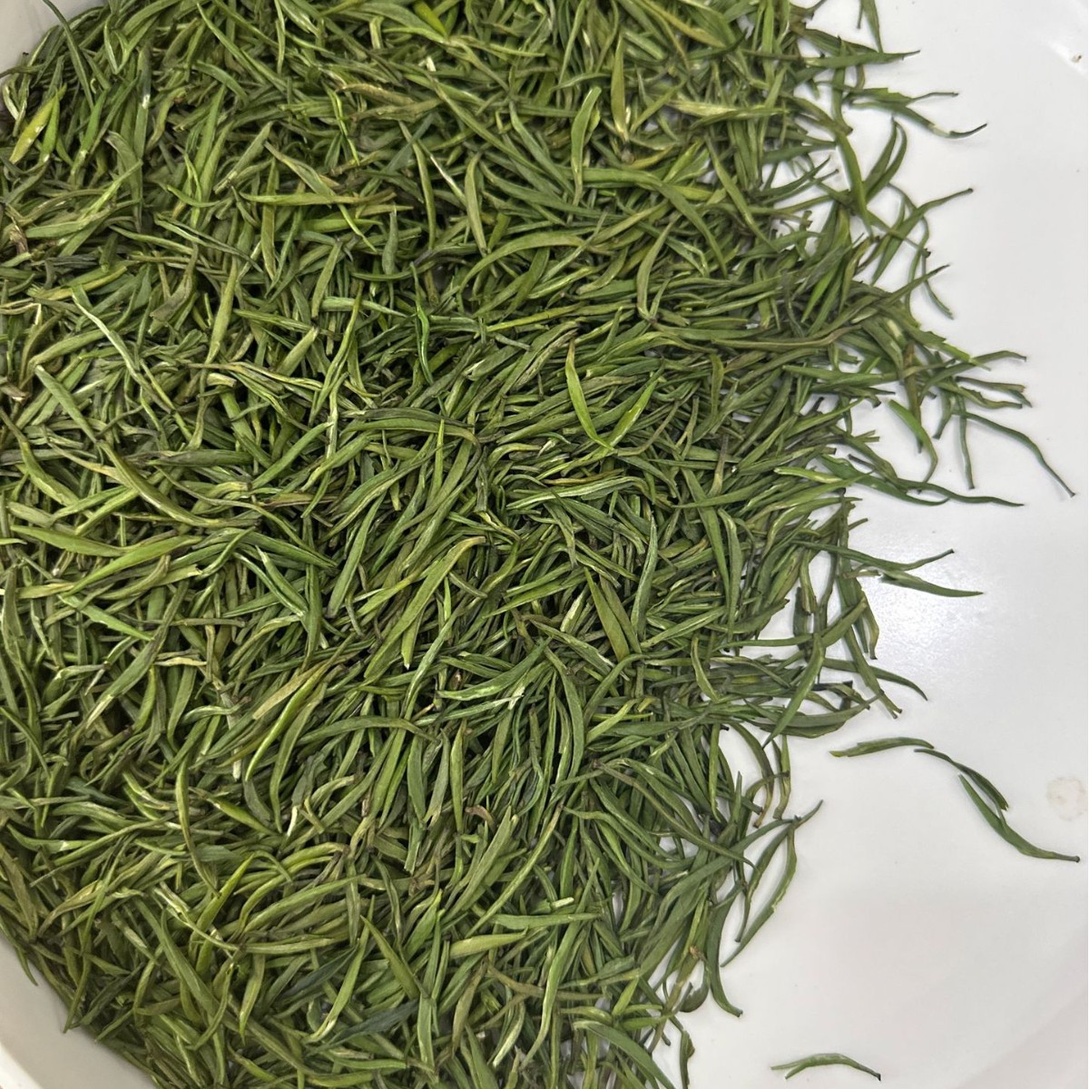 高山云雾绿茶2025新茶G-ZD04春茶浓香型茶叶针形散袋装30g口粮好