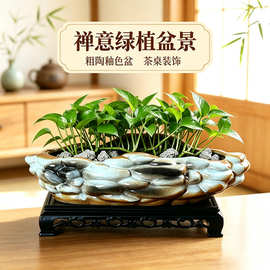 粗陶釉色水培花盆无孔盆景盆创意异形造景盆家用办公桌面装饰盆