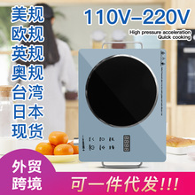 出口外贸110V-220V-240V5060HZ2200W3500W多功能红外线电陶炉防水