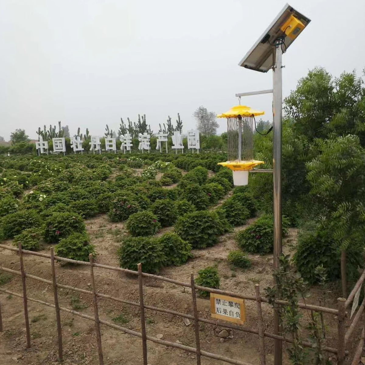 太阳能杀虫灯003