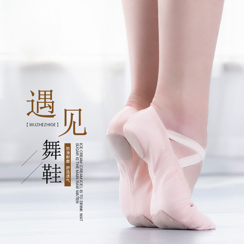 Full stretch cloth dance shoes teacher practice shoes body soft sole ballet adult dance practice cat claw shoes