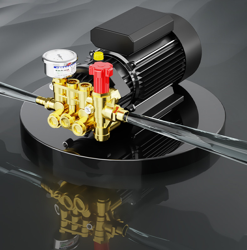 Black Cat High-Pressure Car Washer 220V Household Multi-Function High-Power Cleaning Machine for Car Wash Shops and Farms