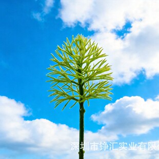 ΢���^�����ģ�͘����z��ģ��܊�µ�̨�������ϾG��DIY�������l