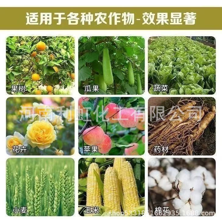 c916bd5c040a24d4d5e94747a4c8da