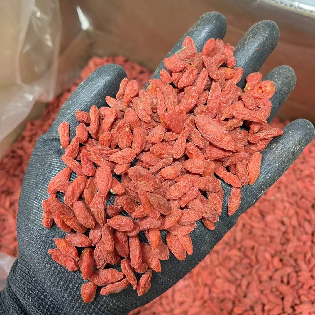 Dried Goji Berries Ningxia Premium Grade Large Fruit 250g Bag overview