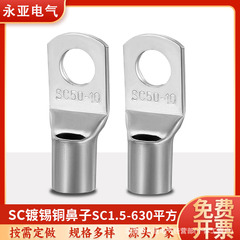 SC铜鼻子冷压接线端子窥口鼻紫铜接线铜端子注锡口线鼻子A级加厚