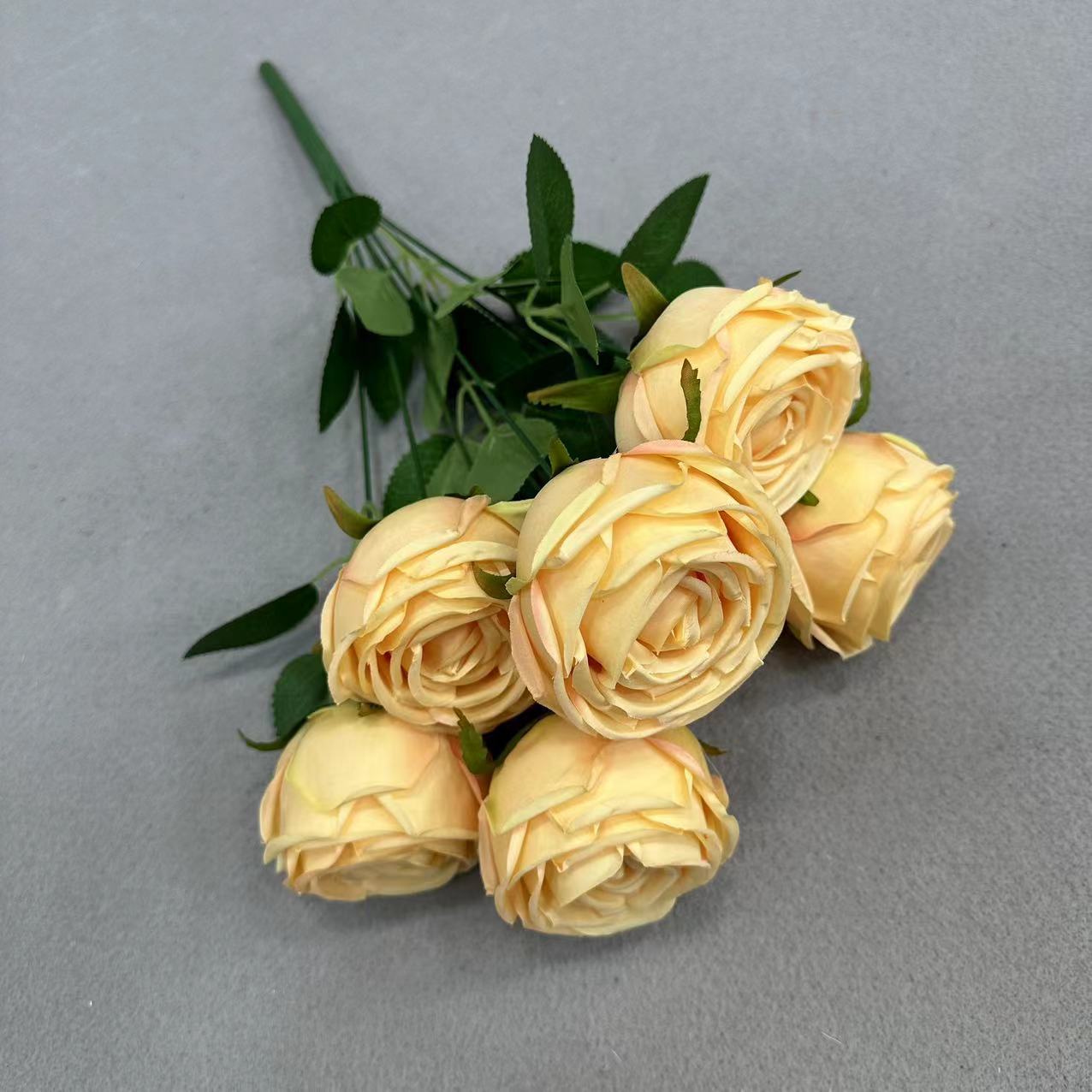 7头皇妃玫 深香槟