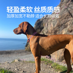 Dog Circle Birthday Pet Collar Dog Collar Pet Supplies Dog Rope Chest Back Leash Dog Collar Wholesale